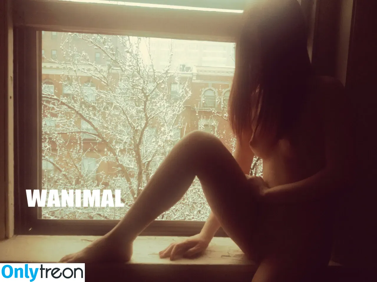 Wanimal Models голая photo #0688 (wanimal912)