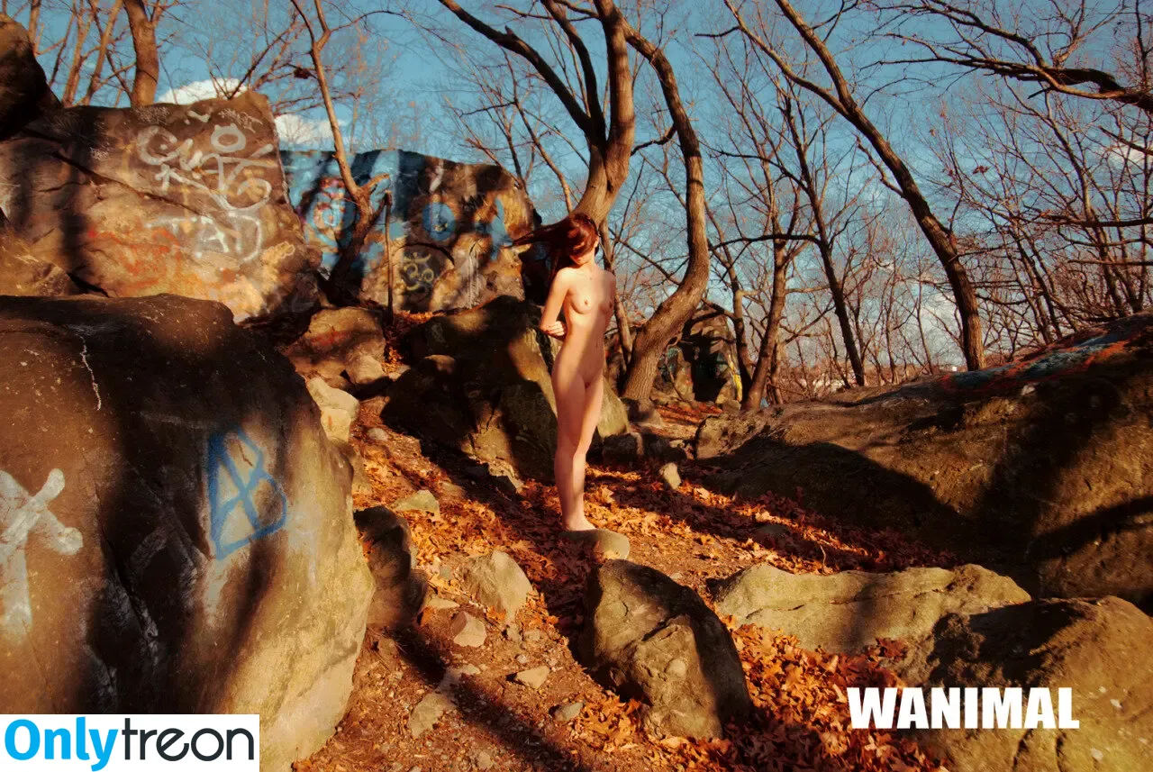 Wanimal Models голая photo #0714 (wanimal912)