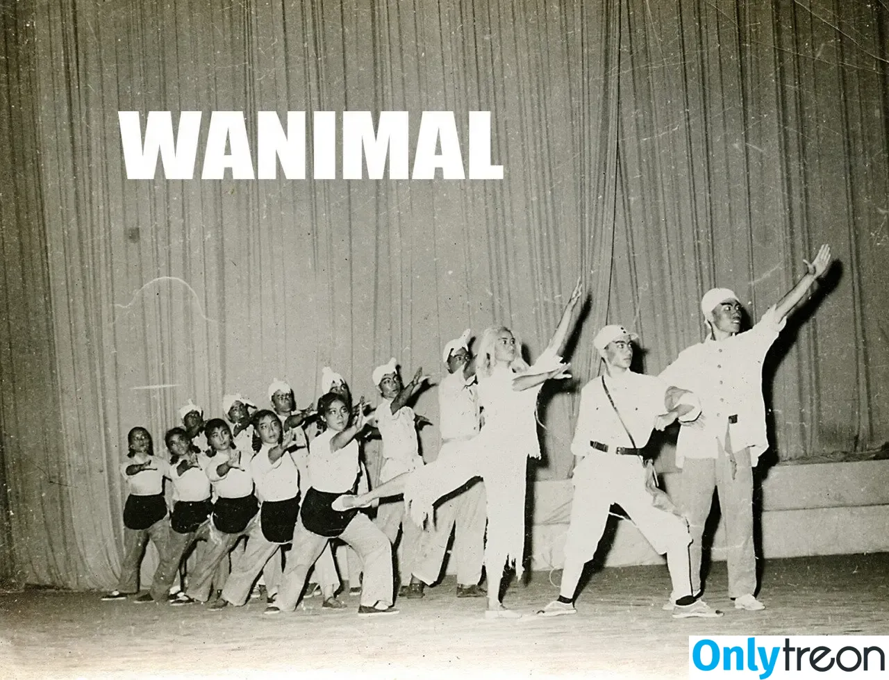 Wanimal Models голая photo #0738 (wanimal912)