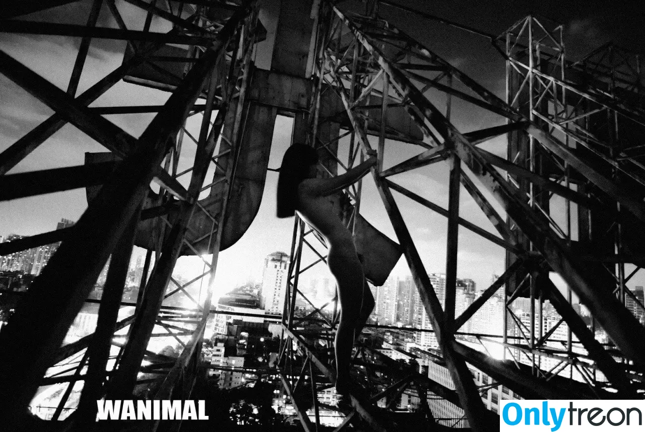 Wanimal Models голая photo #0779 (wanimal912)