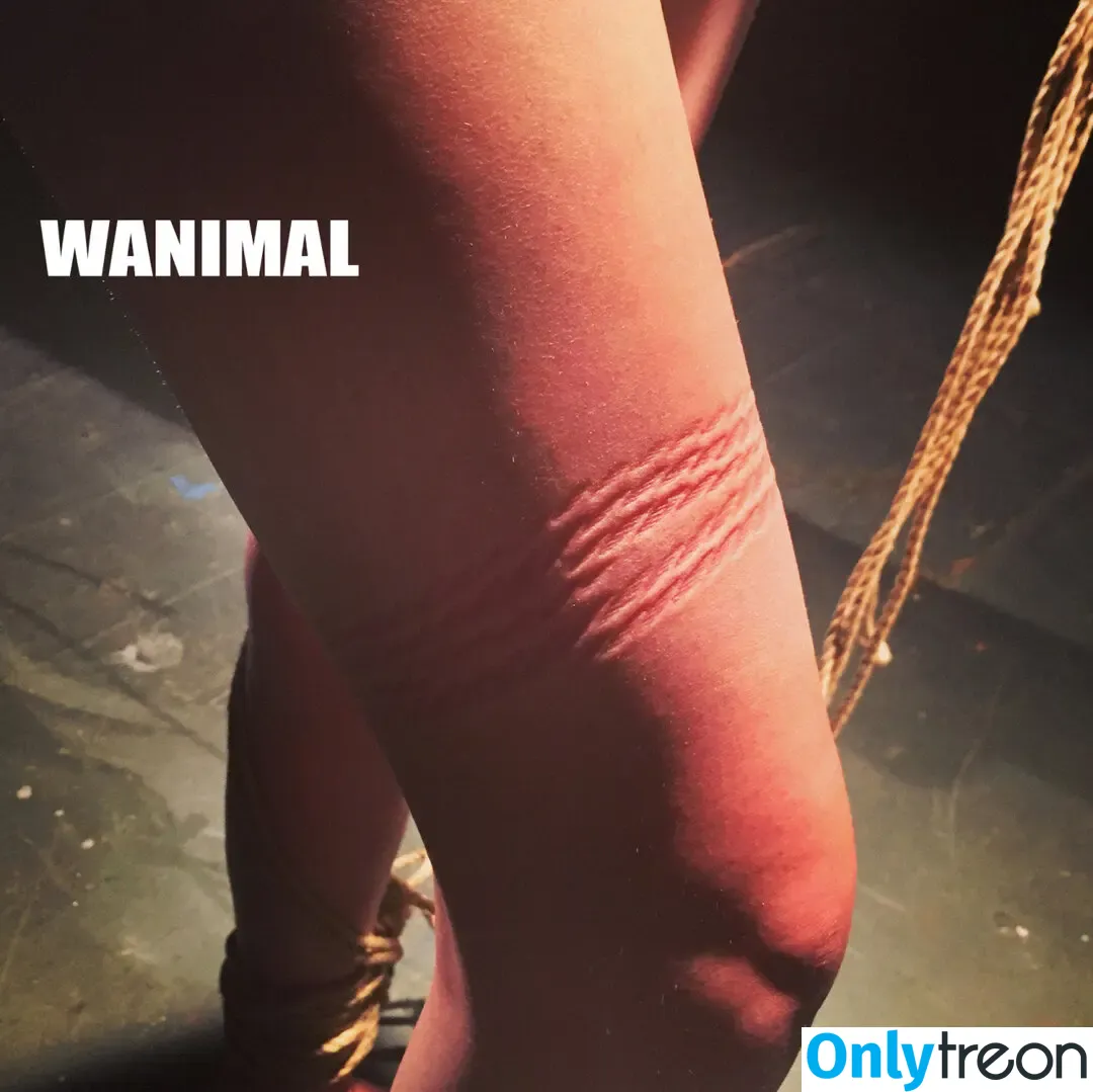 Wanimal Models голая photo #0789 (wanimal912)