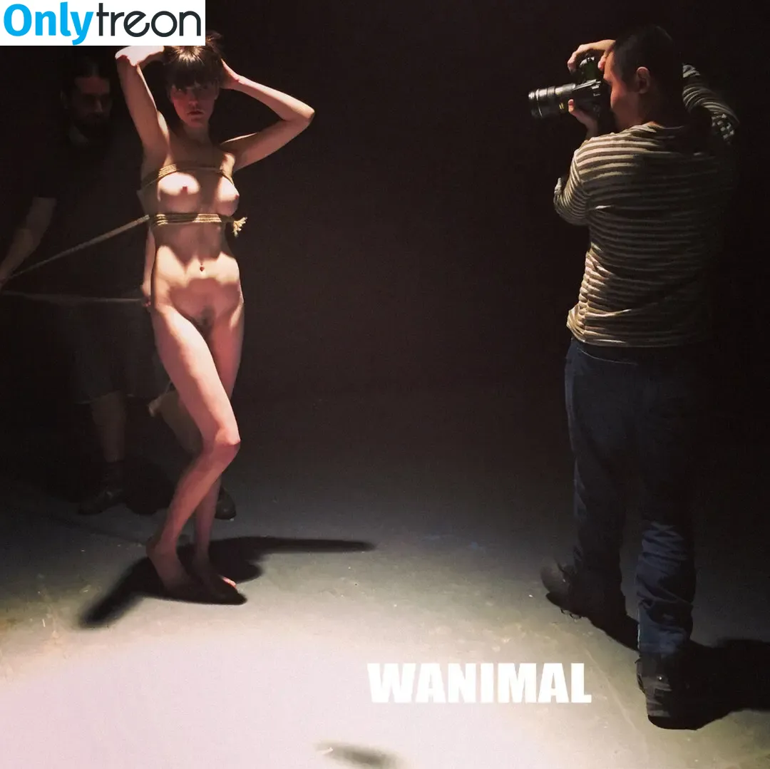 Wanimal Models голая photo #0815 (wanimal912)