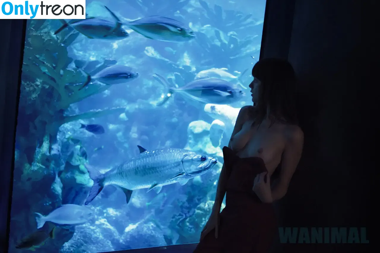Wanimal Models голая photo #0863 (wanimal912)
