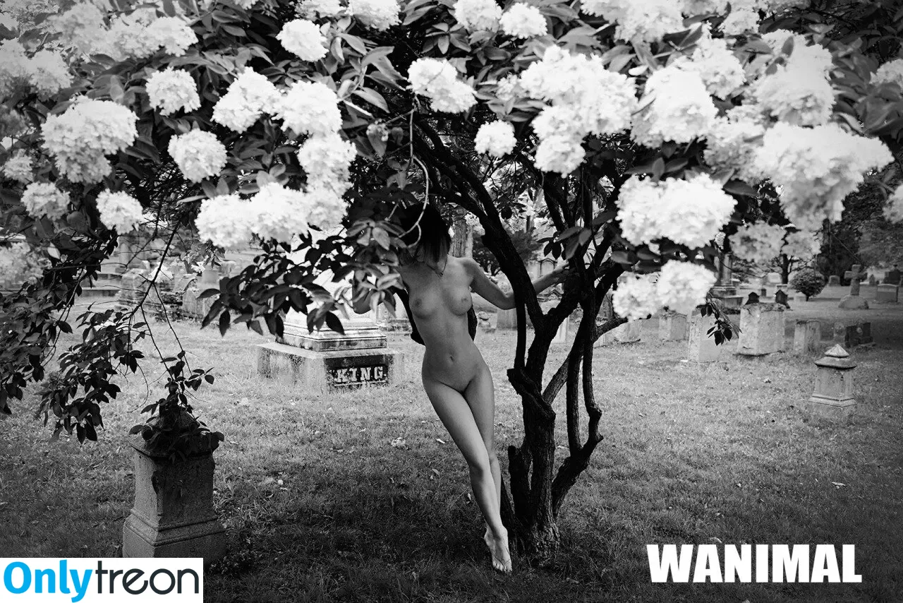 Wanimal Models голая photo #0864 (wanimal912)