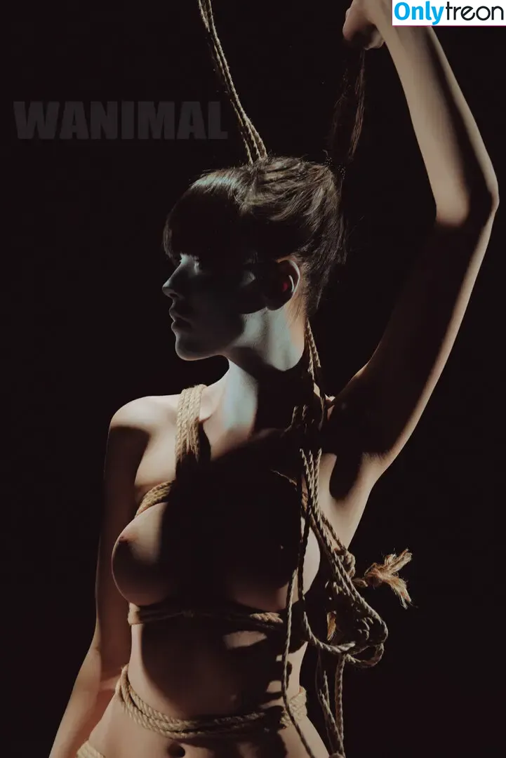 Wanimal Models голая photo #0869 (wanimal912)