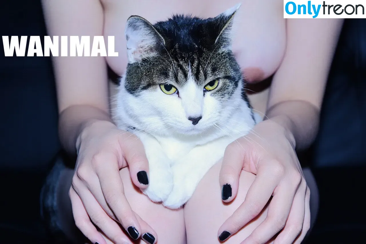 Wanimal Models голая photo #0873 (wanimal912)