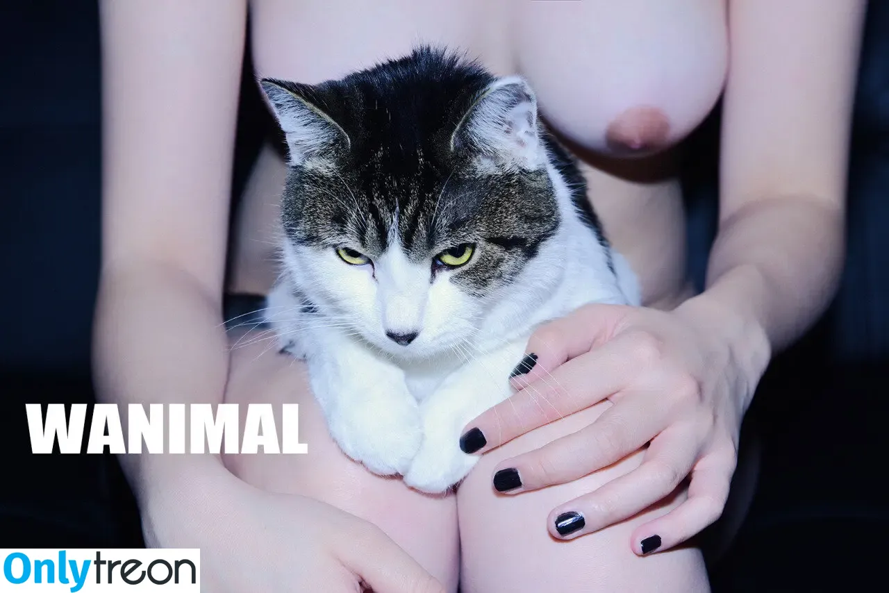 Wanimal Models голая photo #0874 (wanimal912)