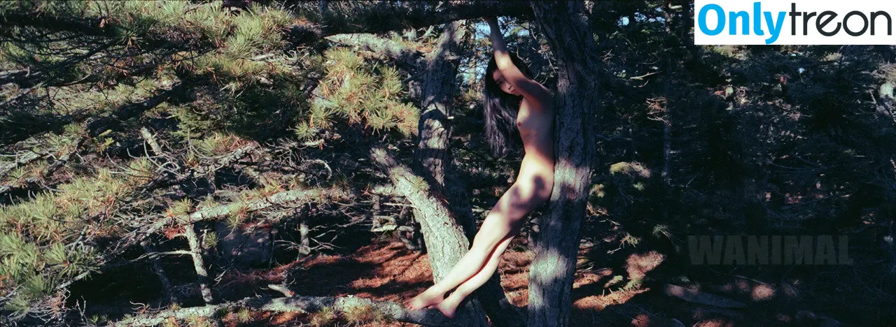 Wanimal Models голая photo #0897 (wanimal912)