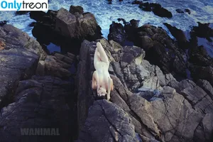 Wanimal Models / wanimal912 фото голая #1047
