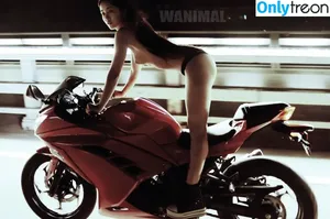 Wanimal Models / wanimal912 фото голая #1154