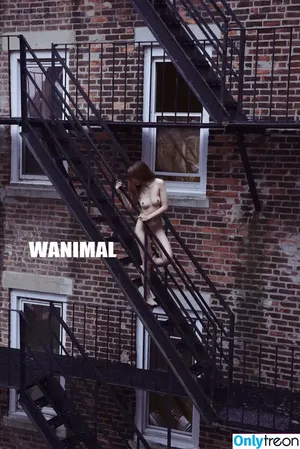 Wanimal Models / wanimal912 фото голая #1156