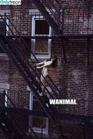 Wanimal Models / wanimal912 фото голая #1158