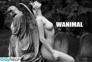 Wanimal Models / wanimal912 фото голая #1175