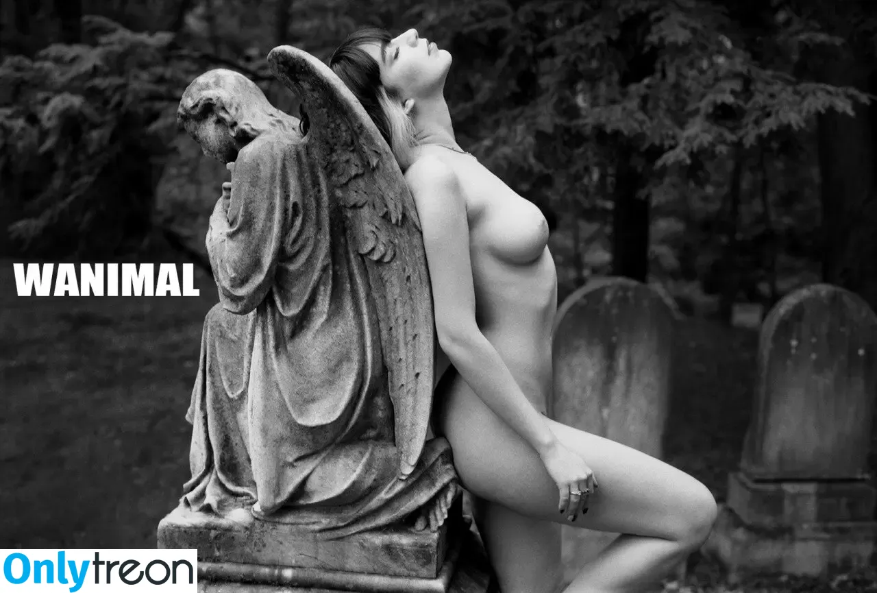 Wanimal Models голая photo #1176 (wanimal912)