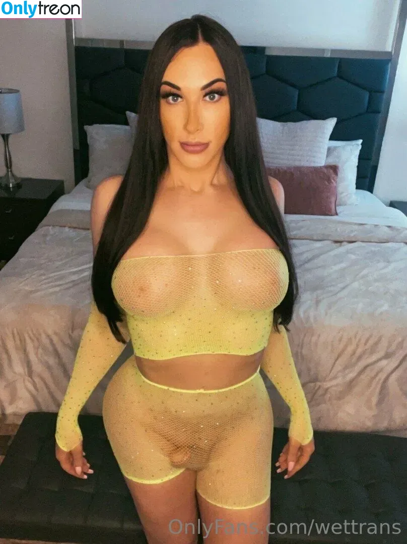 wettrans голая photo #0141 (wettran)