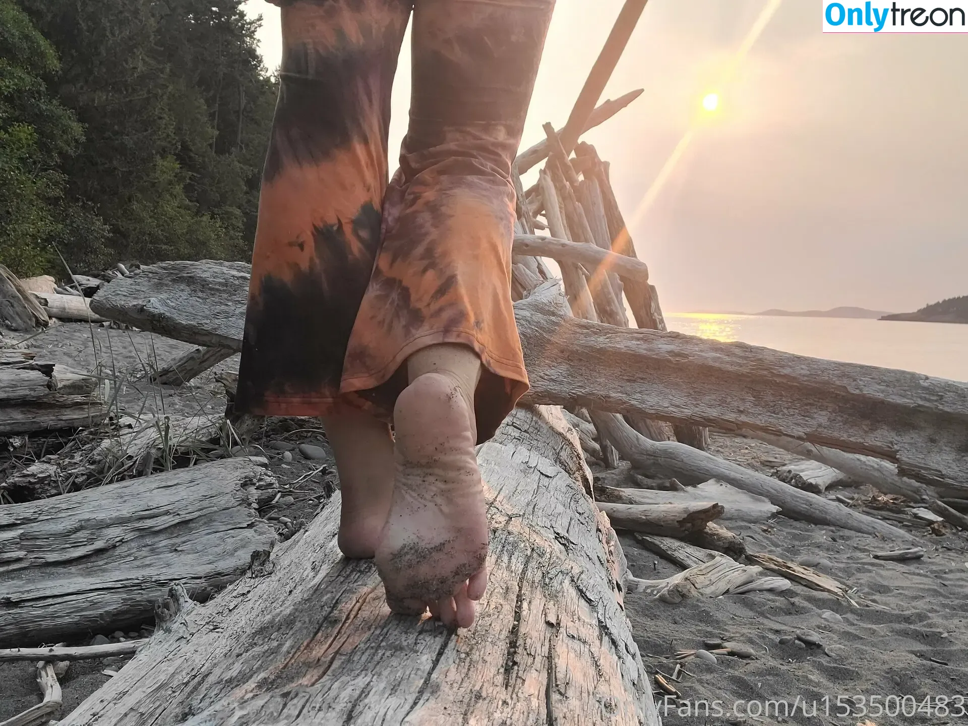 wildsoles84 голая photo #0008 (wildsolez)