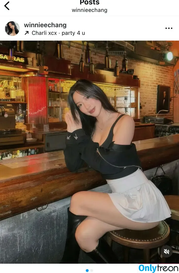 Winnie Chang nude photo #0270 (winnieechang)