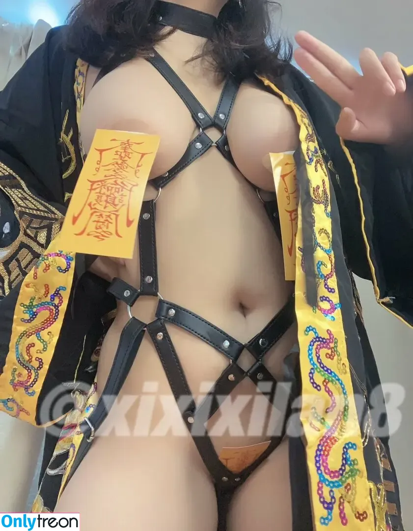 xixixilan8 nude photo #0029 (XLAN)