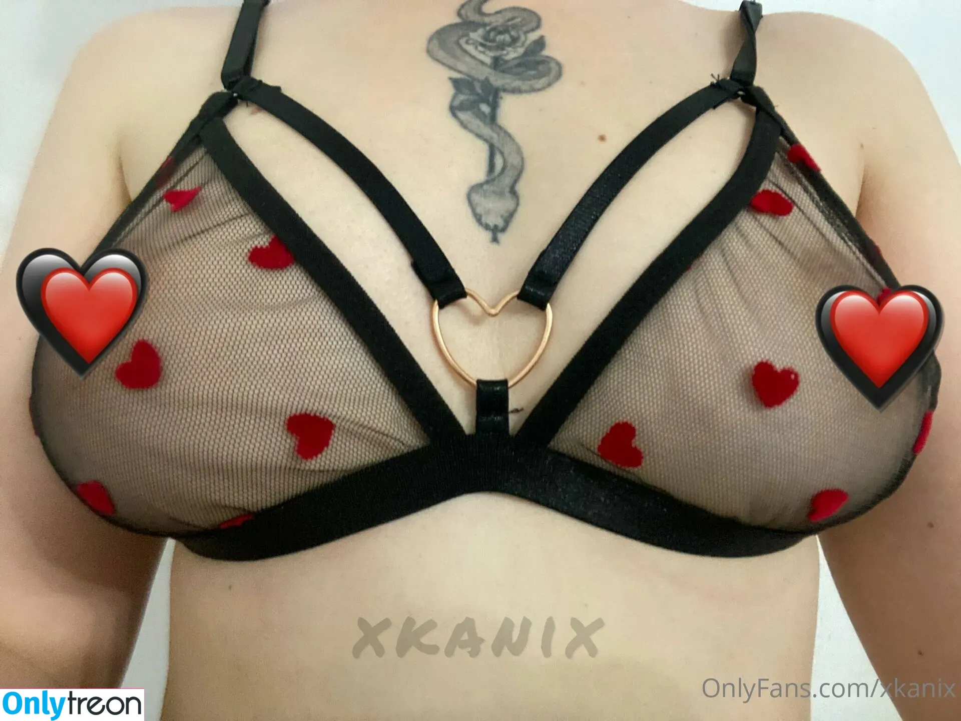 xkanix nude photo #0030 (xkanix)