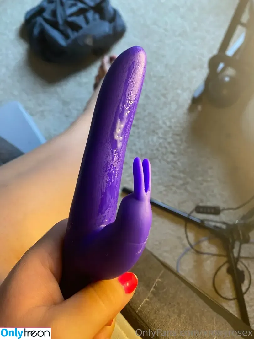 xroxyrosex nude photo #0003 (xrosyyx)