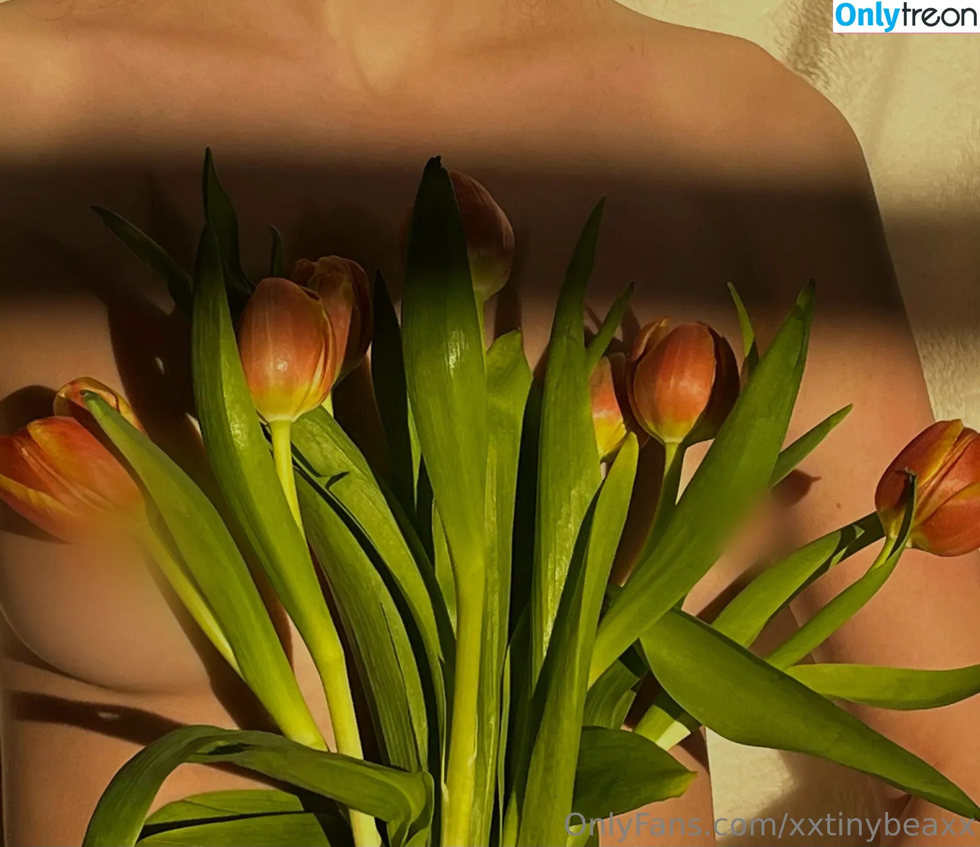 xxtinybeaxx голая photo #0024 (xxtinybeanxx)