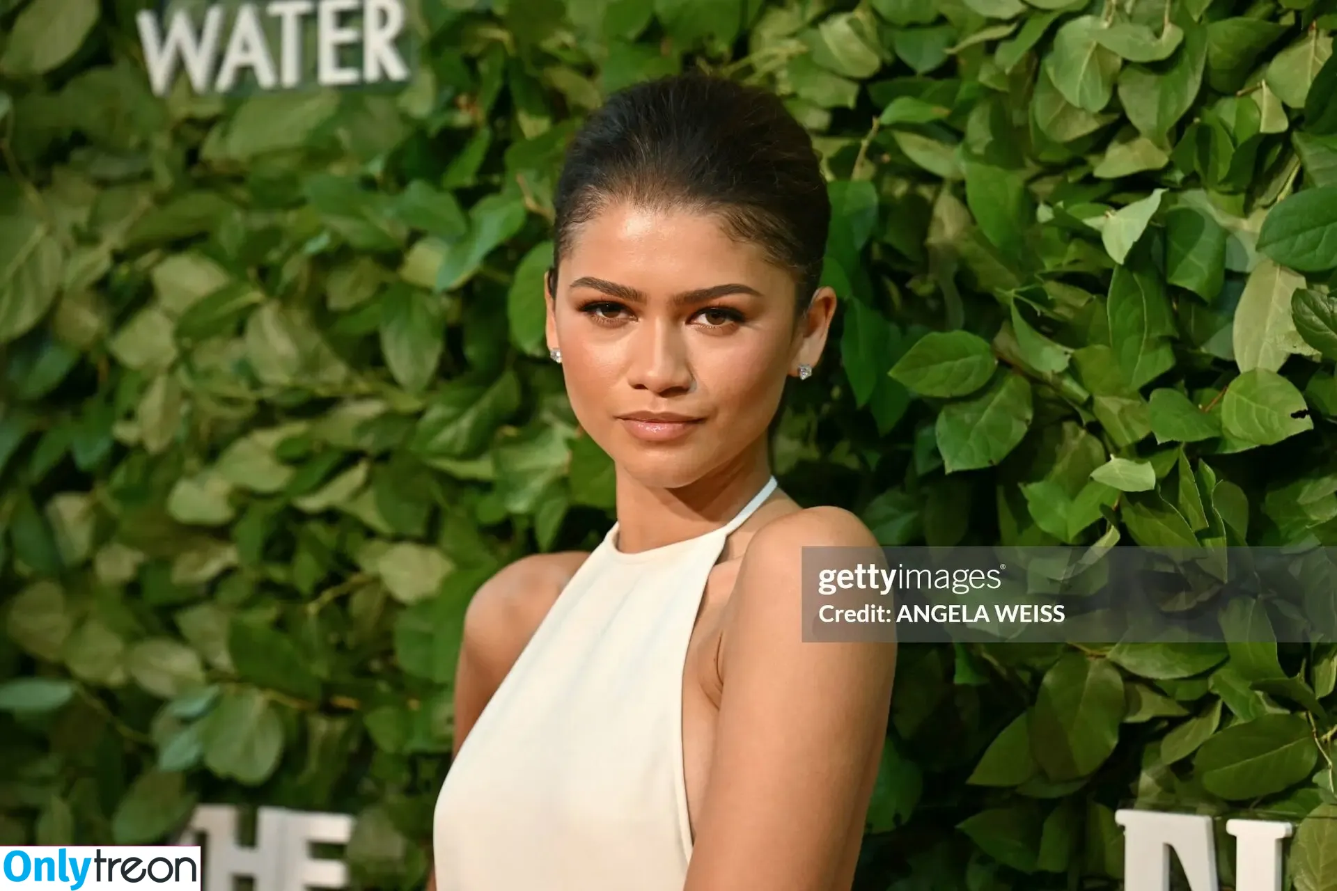 Zendaya nude photo #3768 (Zendaya)
