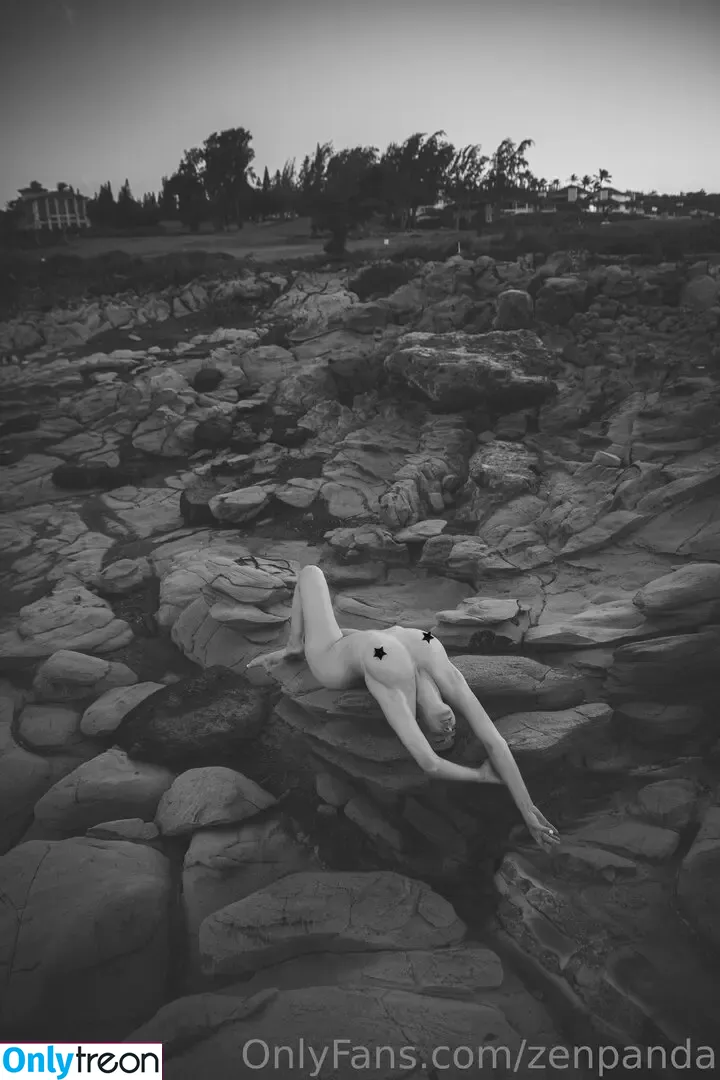 zenpanda nude photo #0050 (zenpandaphotography)