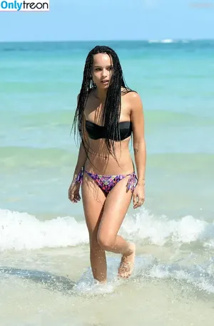 Zoë Kravitz / zoeisabellakravitz nude photo #0147