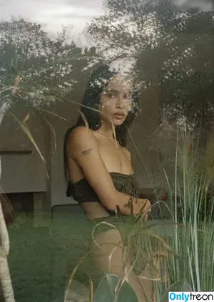 Zoë Kravitz / zoeisabellakravitz nude photo #0182