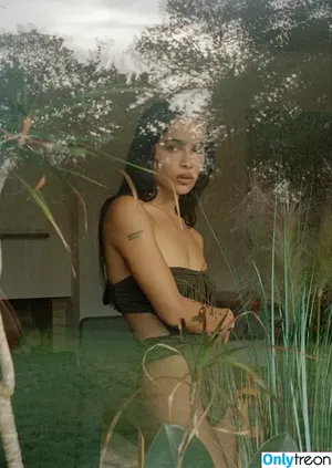 Zoë Kravitz / zoeisabellakravitz nude photo #0434