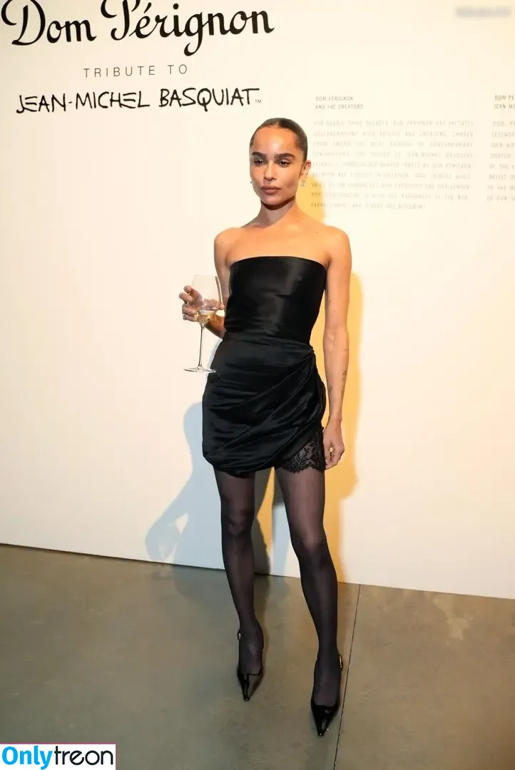 Zoë Kravitz nude photo #0351 (zoeisabellakravitz)
