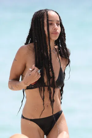 Zoe Kravitz / zoeisabellakravitz фото голая #0073