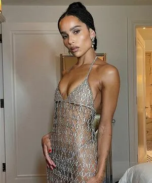 Zoe Kravitz / zoeisabellakravitz фото голая #0084