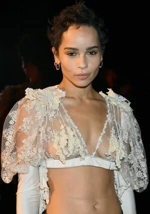 Zoe Kravitz / zoeisabellakravitz фото голая #0090