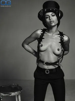 Zoe Kravitz / zoeisabellakravitz фото голая #0128