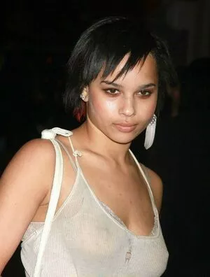 Zoe Kravitz / zoeisabellakravitz фото голая #0174