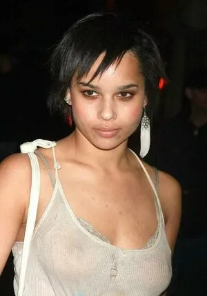 Zoe Kravitz / zoeisabellakravitz фото голая #0176